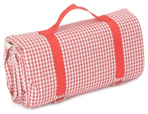 Red & White Gingham Picnic Blanket
