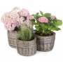 Set of 3 Round Antique Wash Planters