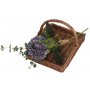 Light Steamed Garden Trug
