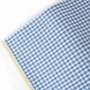 Blue & White Gingham Picnic Blanket