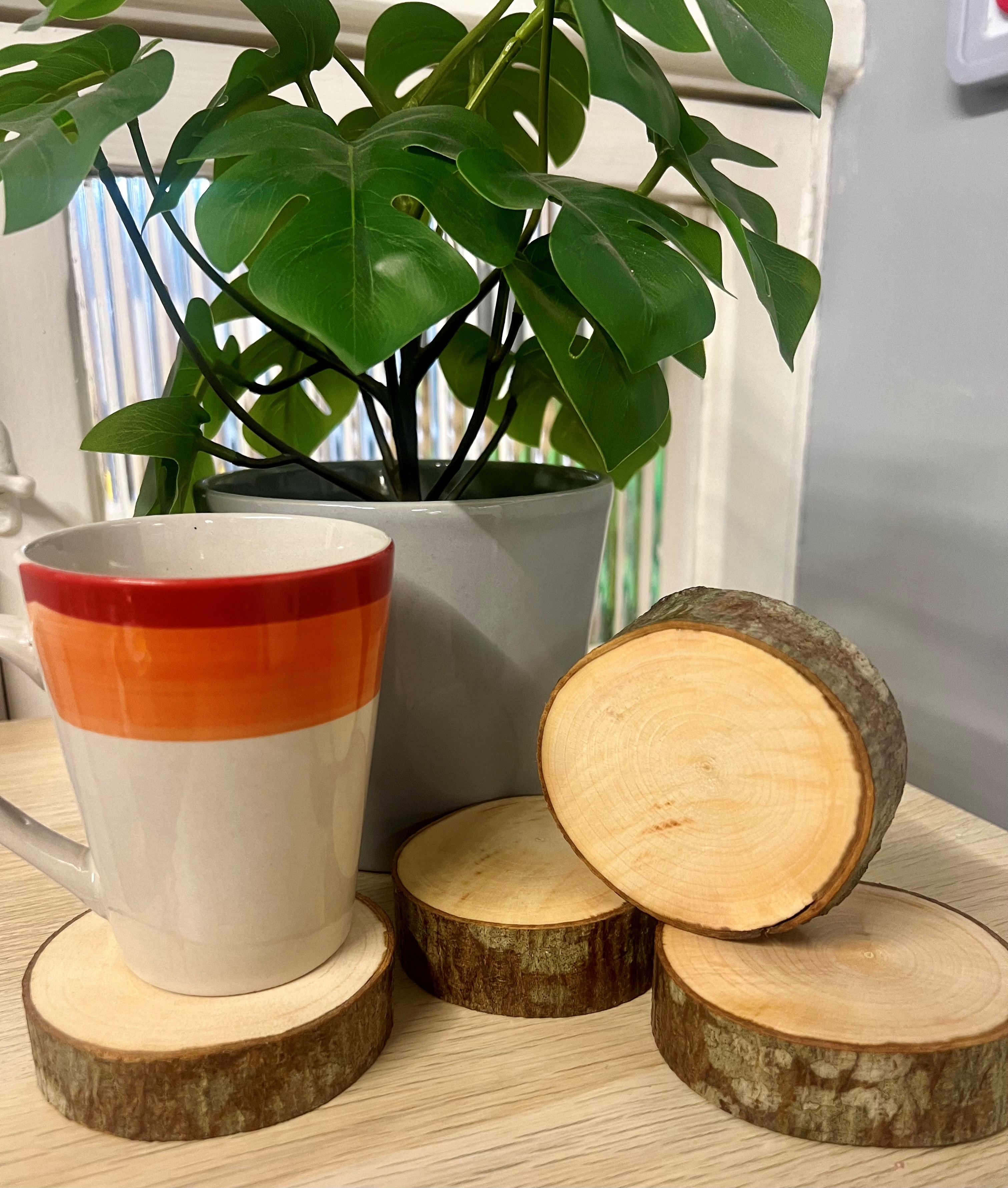 Set of 4 Handmade Rustic Log Coasters